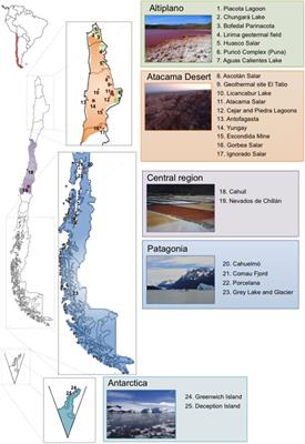 Living at the Frontiers of Life: Extremophiles in Chile and Their Potential for Bioremediation